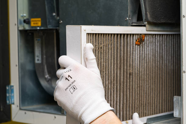 Best Air Duct Cleaning Near Me  in Gruetli Laager, TN