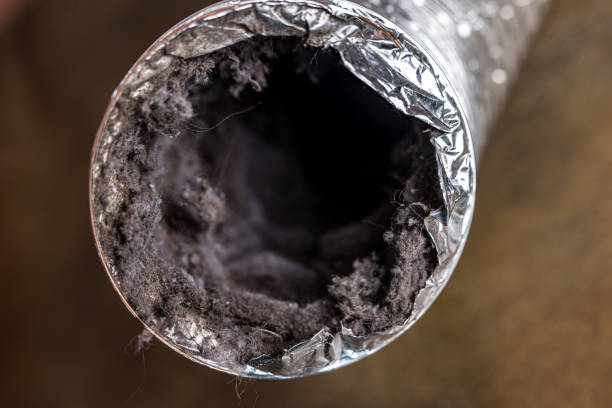 Best Professional Duct Cleaning Services  in Gruetli Laager, TN