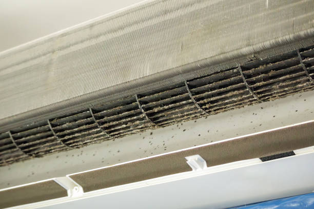Best Affordable Duct Cleaning Services  in Gruetli Laager, TN